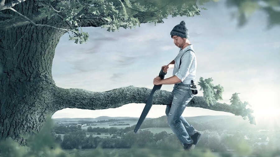 Handwerker sitzt auf einem Baum und zersägt freudig einen dicken Ast, auf dem er sitzt. Symbolbild für Fehler, die sich mit guter Planung vermeiden lassen. 